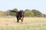 BEAUCERON 186